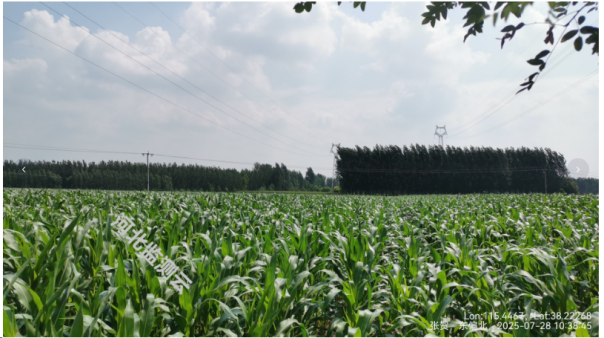 政策解析｜设施农用地能否占用耕地和永久基本农田？